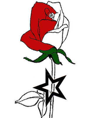 cover image of La Congrega della Stella